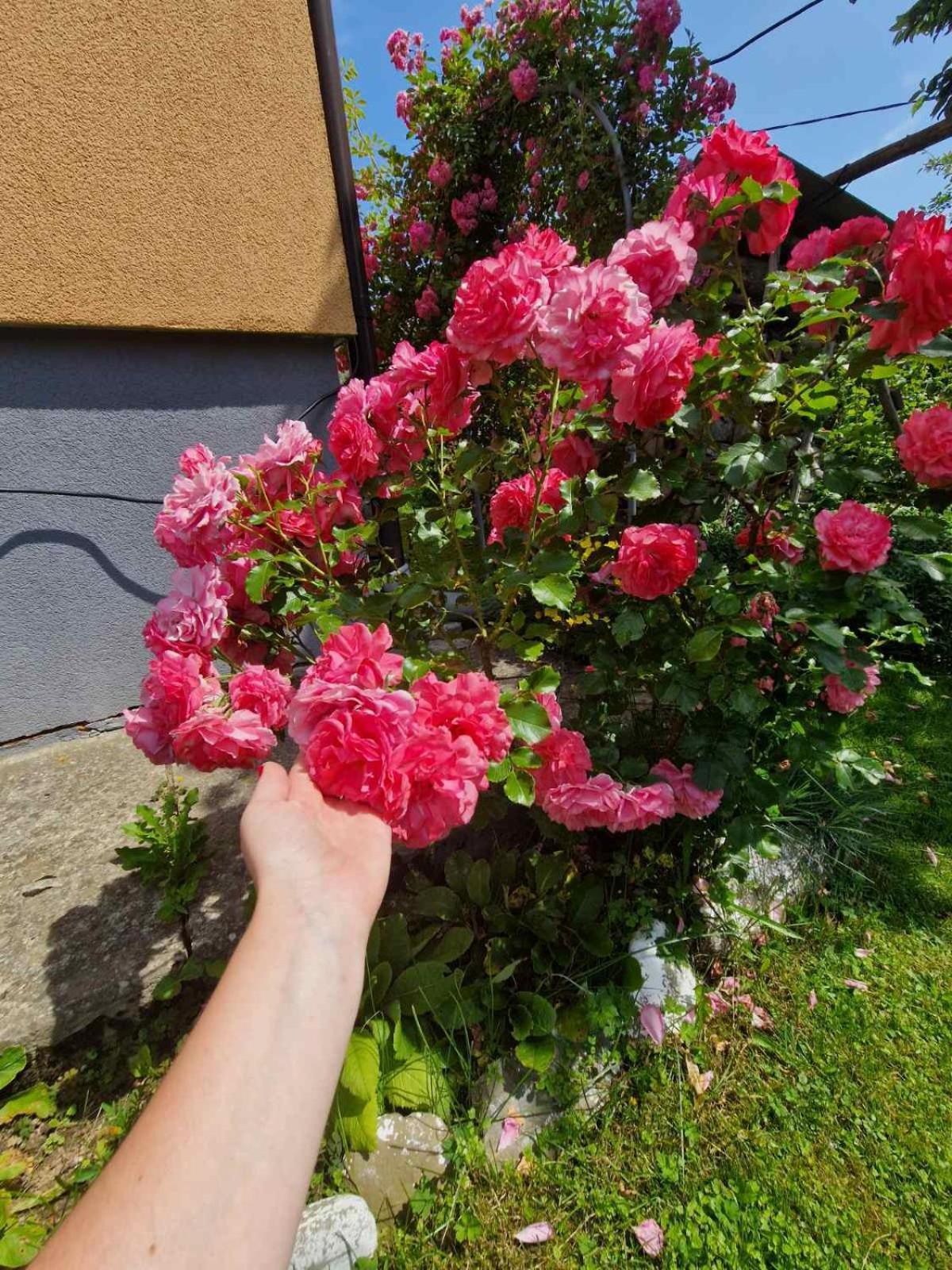 Affittacamere У Дядька Pilipets Esterno foto